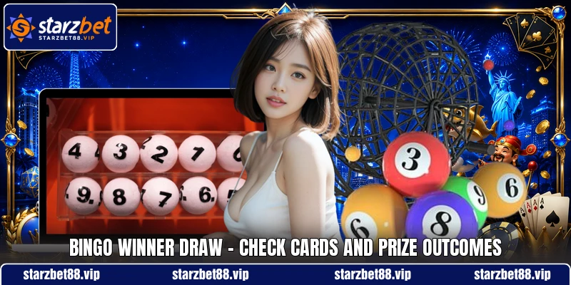 Bingo Winner Draw - Check Cards And Prize Outcomes
