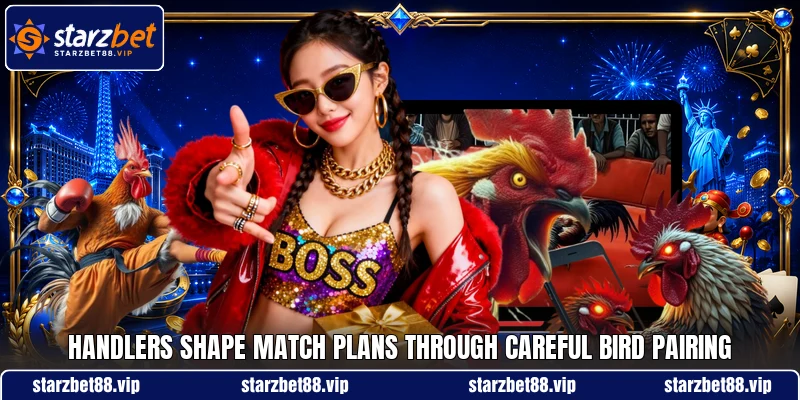 Handlers shape match plans through careful bird pairing Handlers shape match plans through careful bird pairing