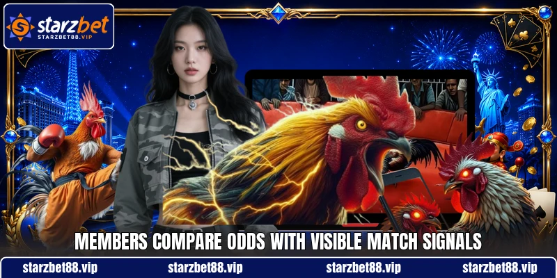 Members compare odds with visible match signals Members compare odds with visible match signals