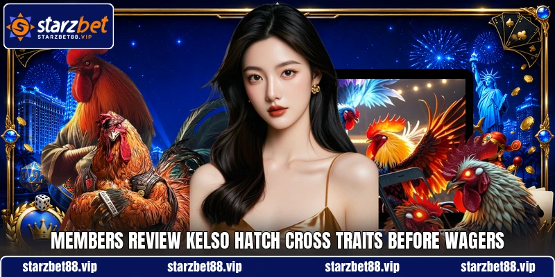 Members review Kelso Hatch Cross traits before wagers Members review Kelso Hatch Cross traits before wagers