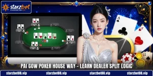 Pai Gow Poker House Way - Learn Dealer Split Logic