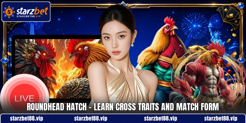 Roundhead Hatch - Learn Cross Traits And Match Form